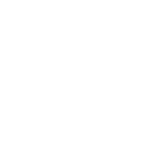 STK Logo