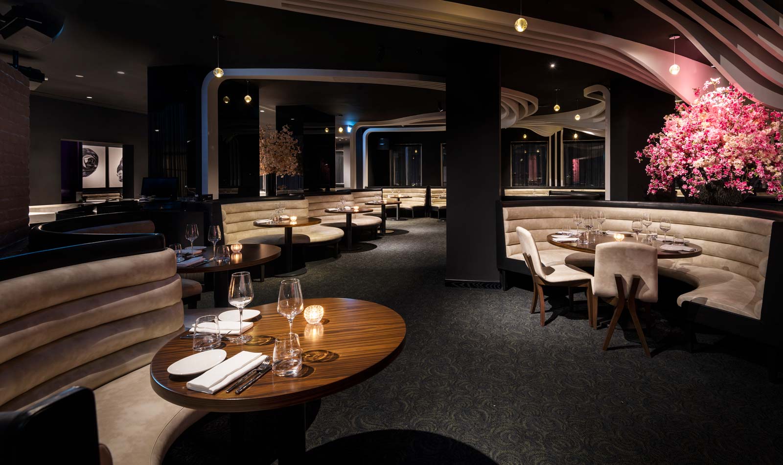 STK Doha | Steakhouse, Seafood, & Drinks